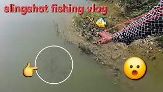 Fishing slingshot video 🏹🐠 #fishing #youtube #video #fish #slingshot #viral