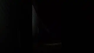 Fast Wasp Hive Relocation & Night Insect Ambience (Buzzing Warning) 🐝 Vertical 