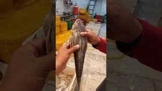 Kukar Fish