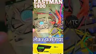 Eastman 1400va Inverter: Unlock its Hidden Power / Common Eastman 1400 VA Problems & How to fix them