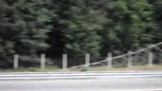 SDC10948