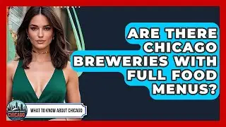 Are There Chicago Breweries With Full Food Menus? - What To Know About Chicago