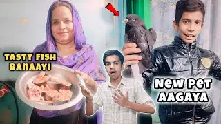 Fish Recipe Desi Style 😍 Ammi Or Addu Ki Ladaai 🤣
