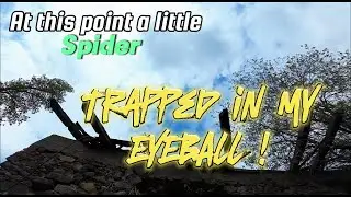 a Spider trapped into my EYEBALL - #Spiderattack #fpvfreestyle #tmotor #bonkapower #pfedrones
