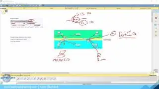 Configuring VLANS on Cisco Switches