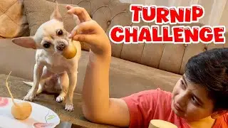 Epic Turnip Challenge! 🤢🔥 Fartash vs. Maggi &ndash; Who Can Handle It?