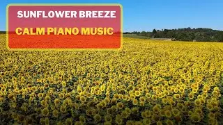 Sun Flower Breeze with calming piano music