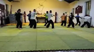 Daily Martial Arts Training: Master the Ancient Arts