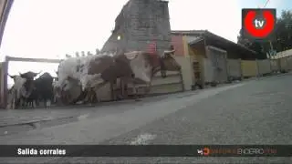 The output of the bulls - Salida de toros de los corrales de Santo Domingo