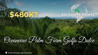 Profit + Paradise: Eco-Income from this Costa Rica Palm Farm