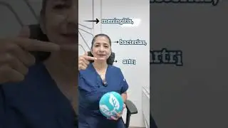 todo lo que tienes que saber del neumococo