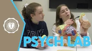 Jannen School of Arts & Sciences: Psychology Lab