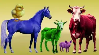 Learn Colors with Farm Animals 🐮🌈 | Colors for Kids & Toddlers