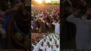 Sandal came to the Urs in Nagpur in which the horses give salute! #babatajuddin #nagpur #urs2025