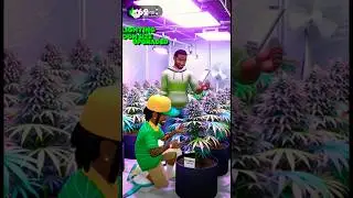 Seed to Sale Level 🎮 #bayarearap #macdre #hyphy #thizz #trending #shorts
