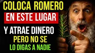 ¡Coloca ROMERO en ESTE Lugar de tu Casa y atrae mucho DINERO en 2026 – Sabiduría Judía!