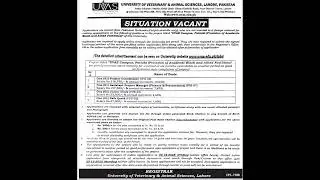 University of Veterinary and Animal Sciences UVAS Management Posts Lahore 2025