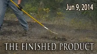 Midwest Whitetail | Staging area food plots