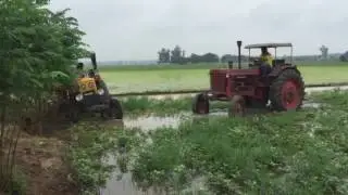belarus jagraon Daman Chhina 9988191313