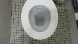 1971 Royal Venton toilet on a Low Level Techplas Cistern