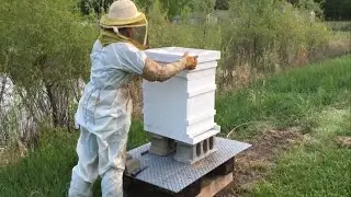 021 Setting up a new bee hive in the yard