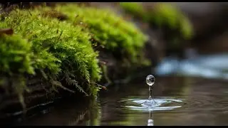 RAIN RIVER RELAX ASMRSOUNDS