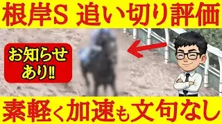 【最終追い切り】根岸ステークス2026！評価TOPは脚の回転速く素軽い走りで楽に好時計出したあの馬！