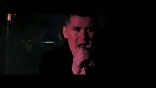 'Shrines' (Live with Press Record) - Level Heads