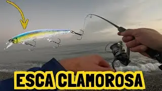 Quest'ESCA è stata CLAMOROSA! Catture a RAFFICA