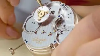 GLASHUTTE ORIGINAL - Senator Chronometer Collection