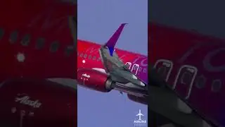 MORE TO LOVE 737