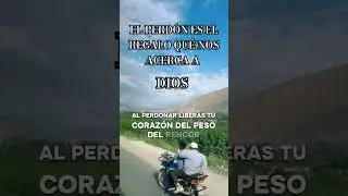 #parati #palabradios #reflexion #frases #oraciones #fe #canaloraciones #dios #oraci&oacute;npoderosa