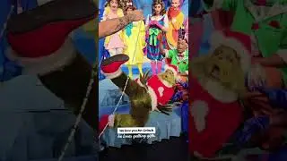 Funny Grinch Moments #grinch #grinchmas #christmas #funny #humor #fyp