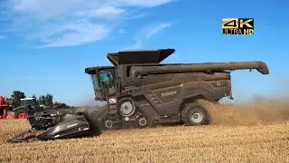Fendt IDEAL 9T Grain Harvest 2020
