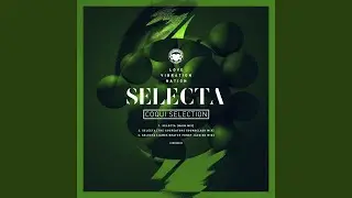 Selecta (The Cocreators Sound Clash Mix)