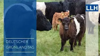 Vortr&auml;ge vom Gr&uuml;nlandtag 2025 in Heidenrod-Springen