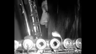Cheryl Pyle Musician   , Flutist , Composer of Music and Lyrics