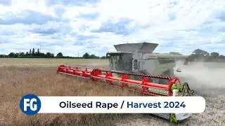 Oilseed Rape Harvest 2024 feat. Claas 8900 Lexion