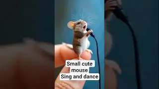 small cute mouse sing and dance #cute #cuteanimals #animals #funnyvideo #funny