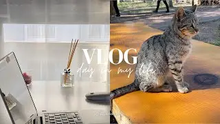 VLOG Website designer day in the life | Cats of Antalya | Working from home | Silent vlog