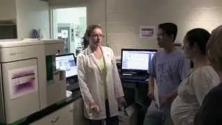 Flow Cytometry Lab Creates Opportunities for Cellular Research and Collaboration