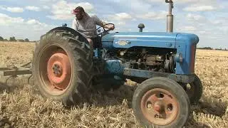 BLUE FORCE CULTIVATION DAY PART 3