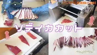 ☆☆☆アサヒ産業　ソデイカカット