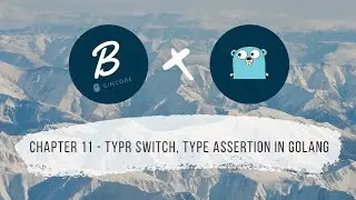 Chapter 011 - Type Switch And Type Assertion in Golang