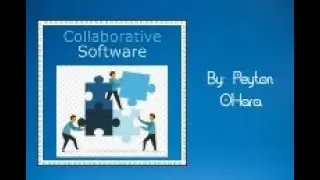 Collaborative Software