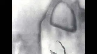The Cure - The Holy Hour