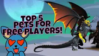 AQW Top 5 Pets For FREE Players! AQWorlds