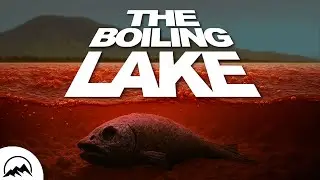 How Lake Natron Kills (almost) Everything