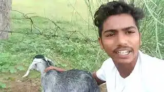comedy videorajasthani comedymarwadi comedyjitiya ki comedyanil khariya comedy