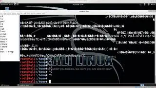 09 Linux Command Line Interface CLI basics